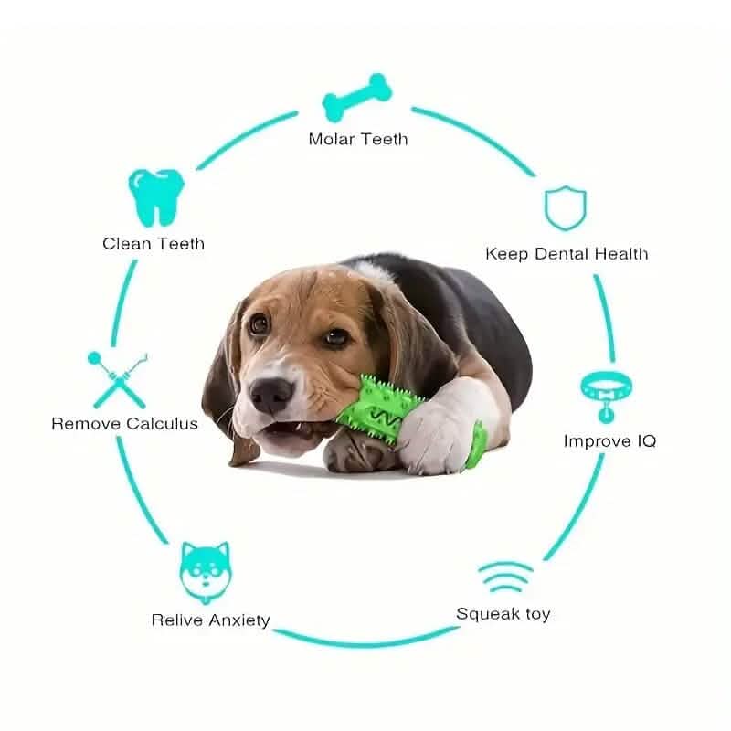 Dog Toothbrush Chew Toy Stick – Dental Plaque & Tartar Cleaner | Non-Toxic Rubber | Small & Medium Dogs