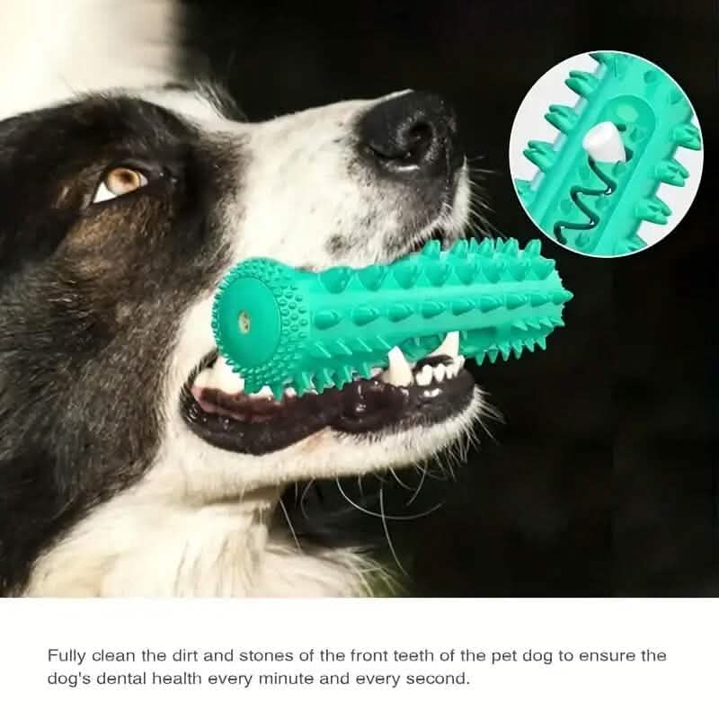 Dog Toothbrush Chew Toy Stick – Dental Plaque & Tartar Cleaner | Non-Toxic Rubber | Small & Medium Dogs