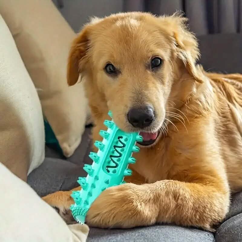 Dog Toothbrush Chew Toy Stick – Dental Plaque & Tartar Cleaner | Non-Toxic Rubber | Small & Medium Dogs