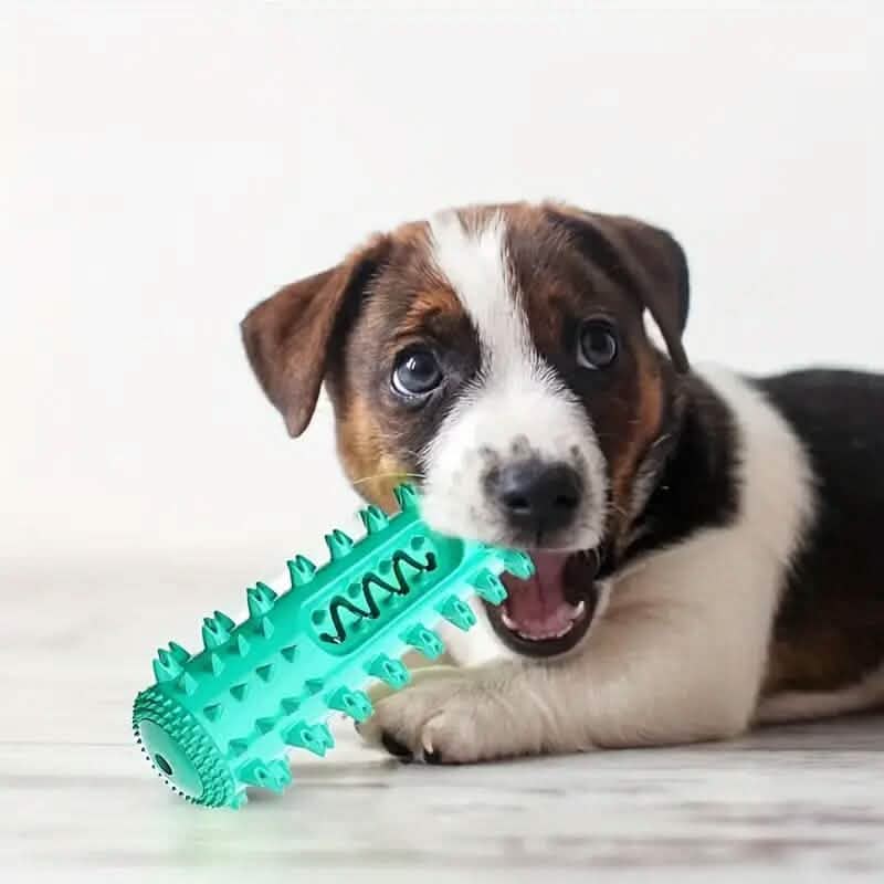 Dog Toothbrush Chew Toy Stick – Dental Plaque & Tartar Cleaner | Non-Toxic Rubber | Small & Medium Dogs