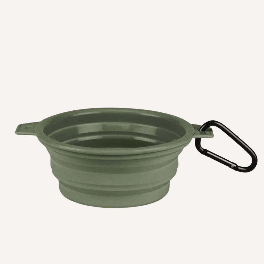 Tilley + Me Collapsible Travel Pet Bowl with Clip – Compact, Reusable and Easy to Clean Cactus Green