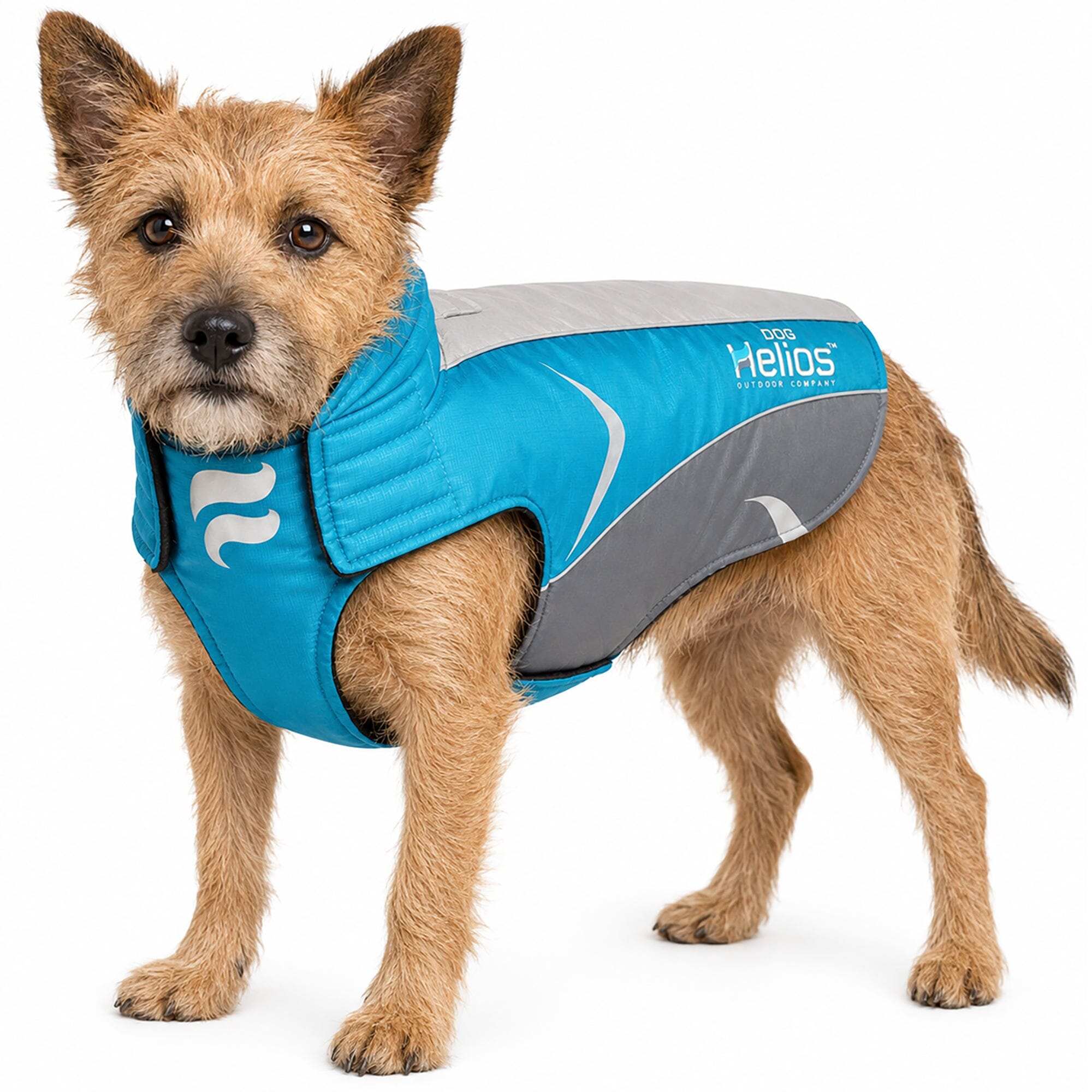 Dog Helios ® Altitude-Mountaineer Wrap-Hook-and-Loop Waterproof Dog Coat Blue, Charcoal Grey, Light Grey