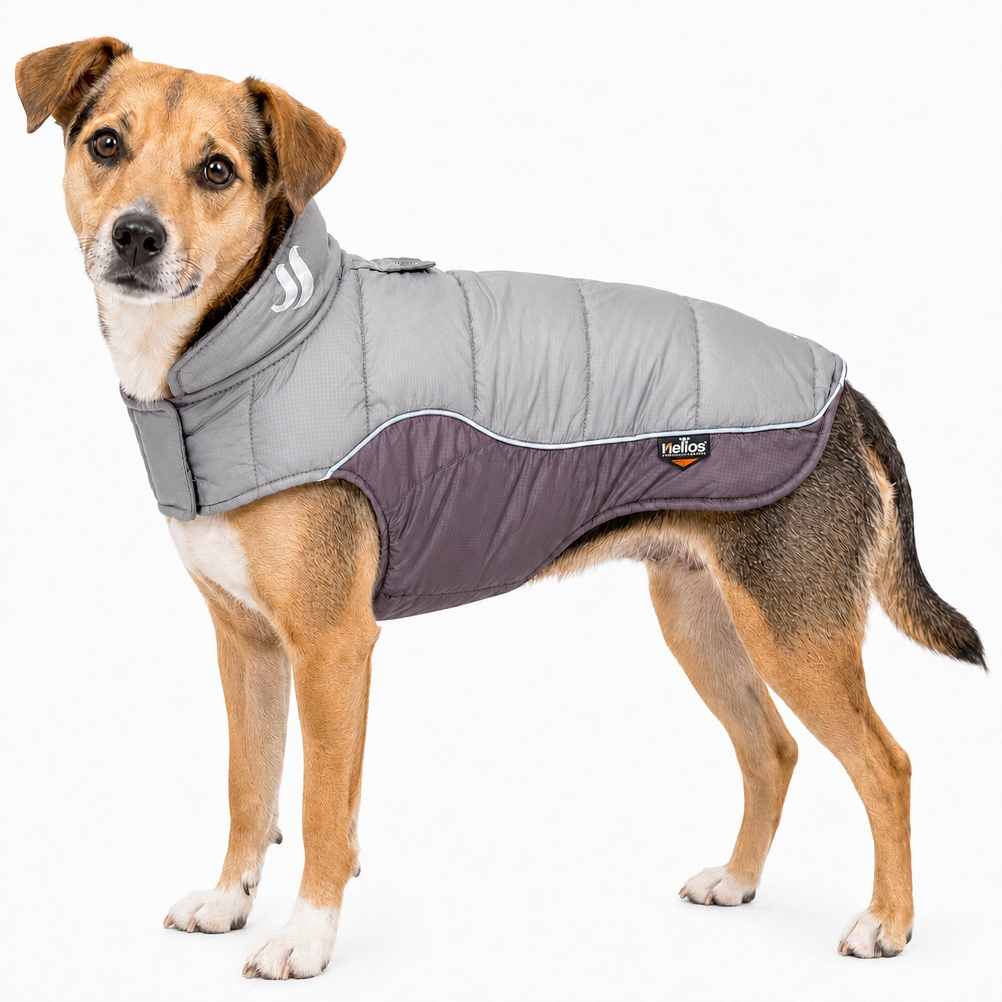 Dog Helios ® Hurricane-Waded Plush 3M Reflective Insulated Winter Dog Coat Grey