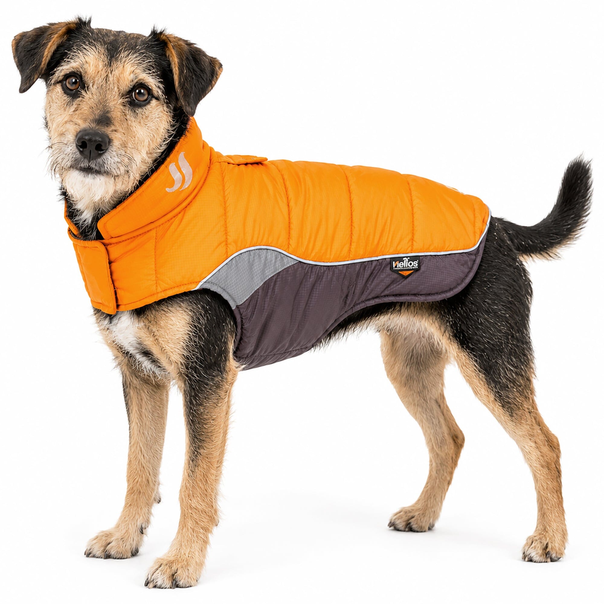 Dog Helios ® Hurricane-Waded Plush 3M Reflective Insulated Winter Dog Coat Sporty Orange