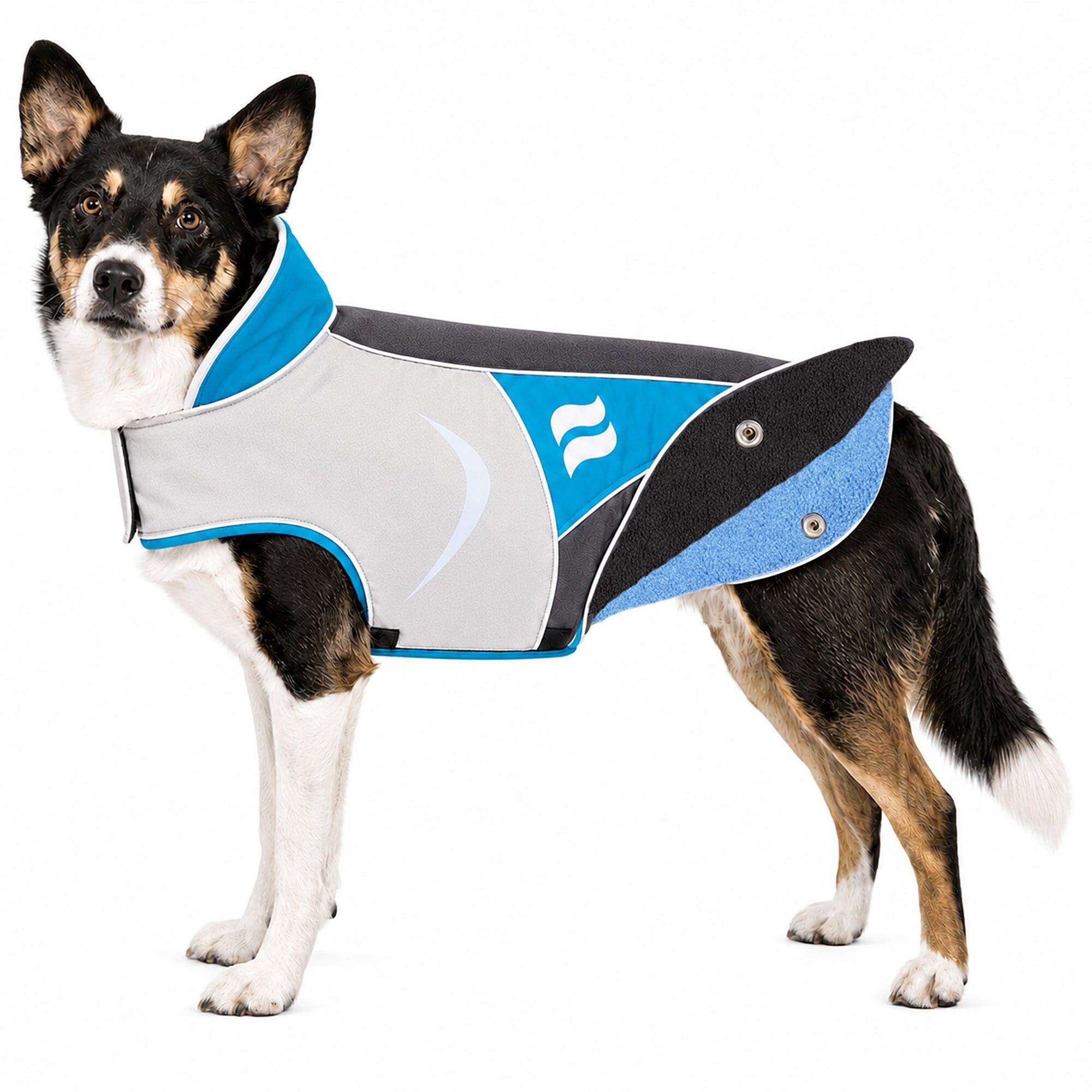 Dog Helios ® Lotus-Rusher 2-in-1 Dual-Removable Layered Performance Dog Jacket Blue, Charcoal Grey, White