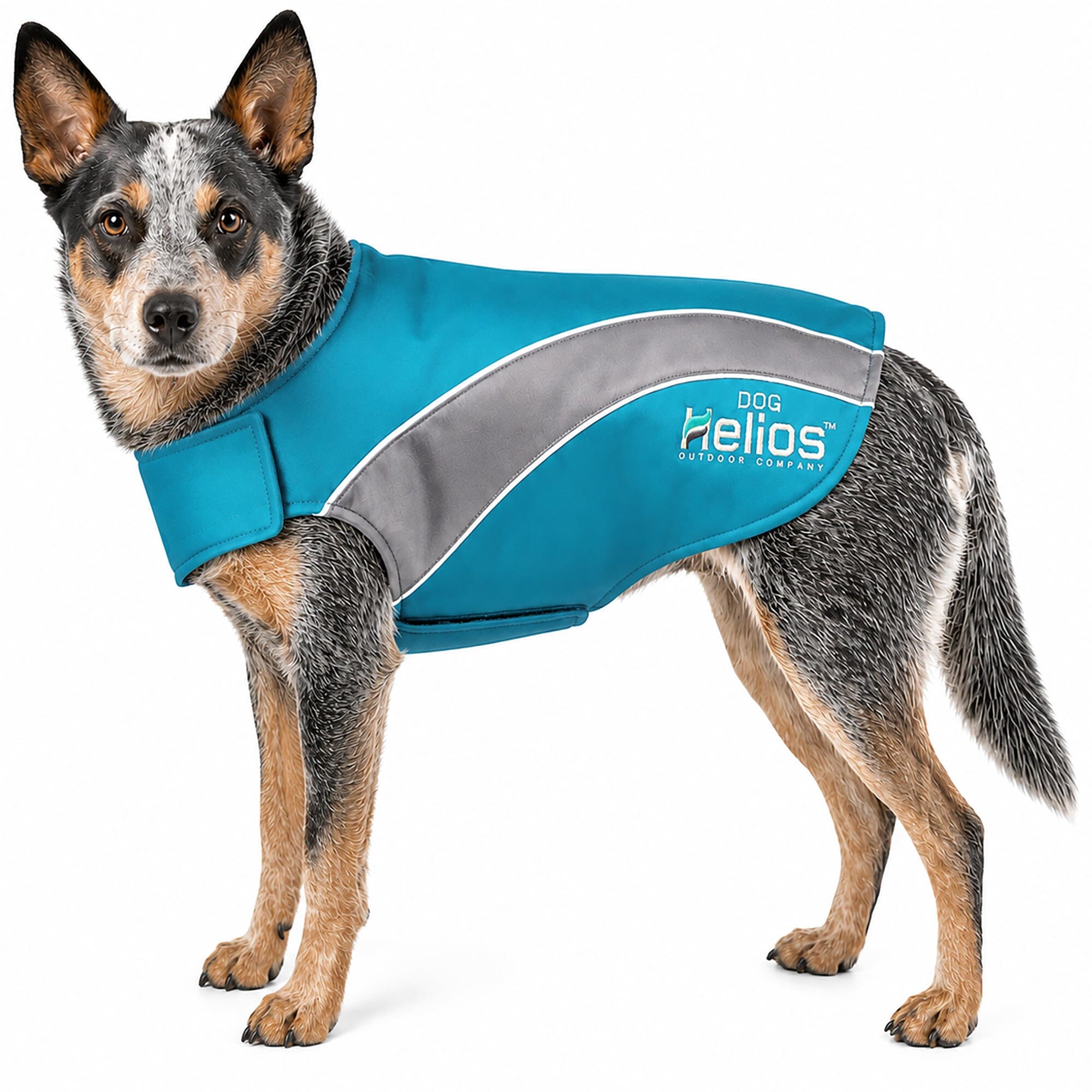Dog Helios ® Octane Reflective Soft-Shell Neoprene Performance Dog Coat Blue, Grey
