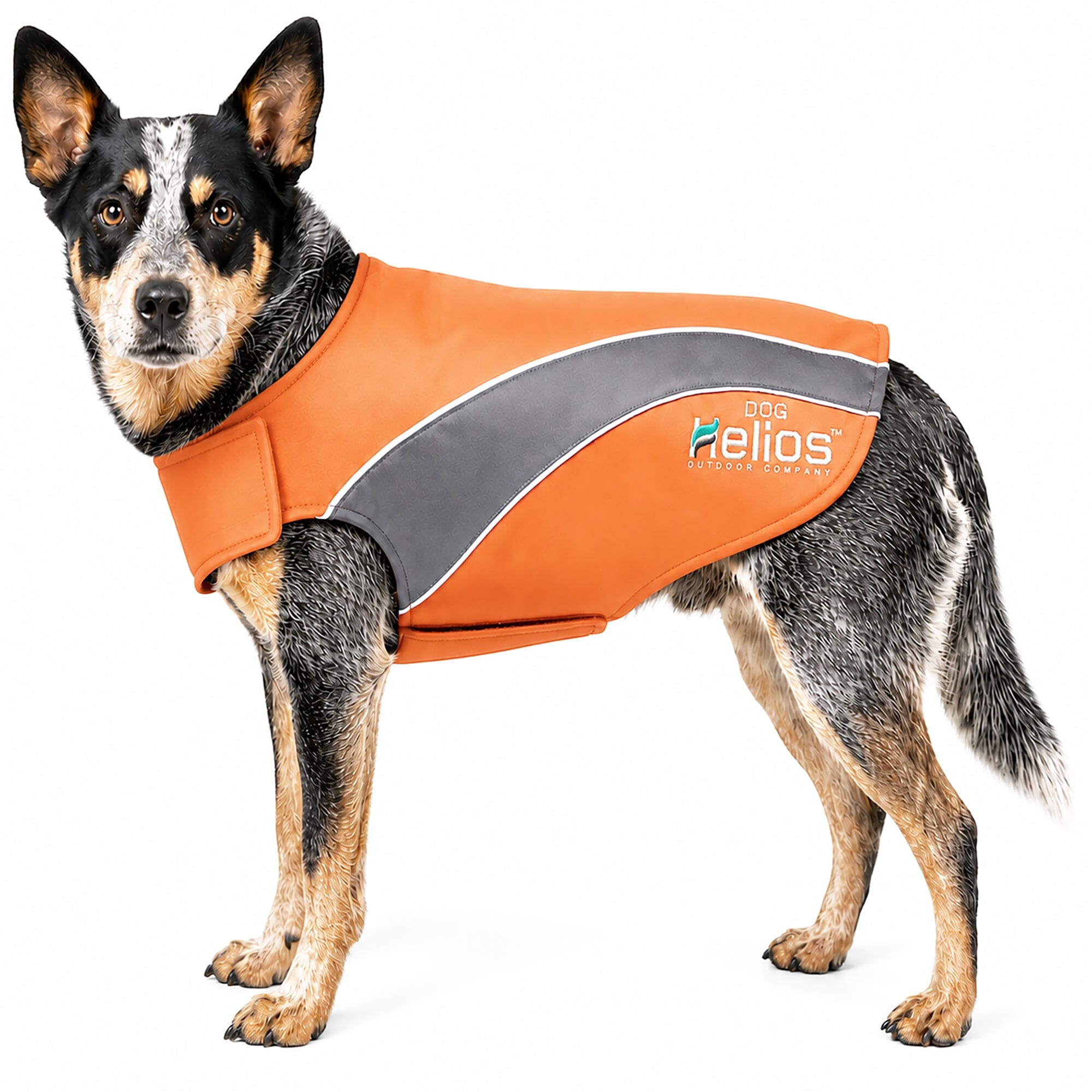 Dog Helios ® Octane Reflective Soft-Shell Neoprene Performance Dog Coat Orange, Grey