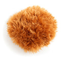 Jeffers 5" Doggie Dotz Plush Squeaker Dog Toy, Each Assorted 1 ct