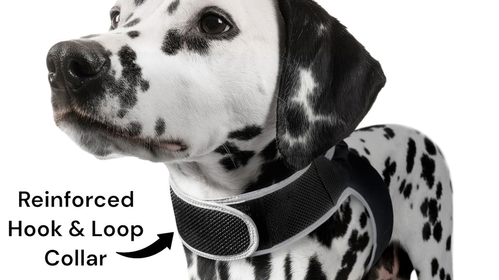 Collar Rechargeable Portable GPS Tracking Devices for Pets GSM Locator Size:XS Default