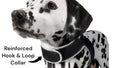 Collar Rechargeable Portable GPS Tracking Devices for Pets GSM Locator Size:XS Default
