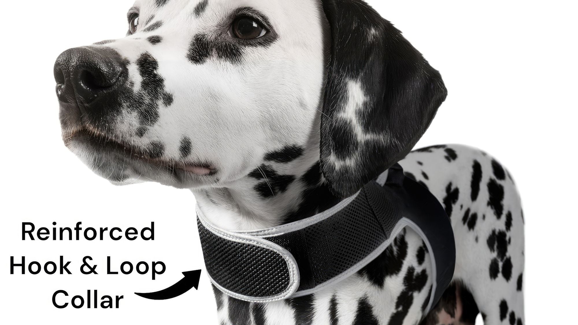 Collar Rechargeable Portable GPS Tracking Devices for Pets GSM Locator Size:XS Default