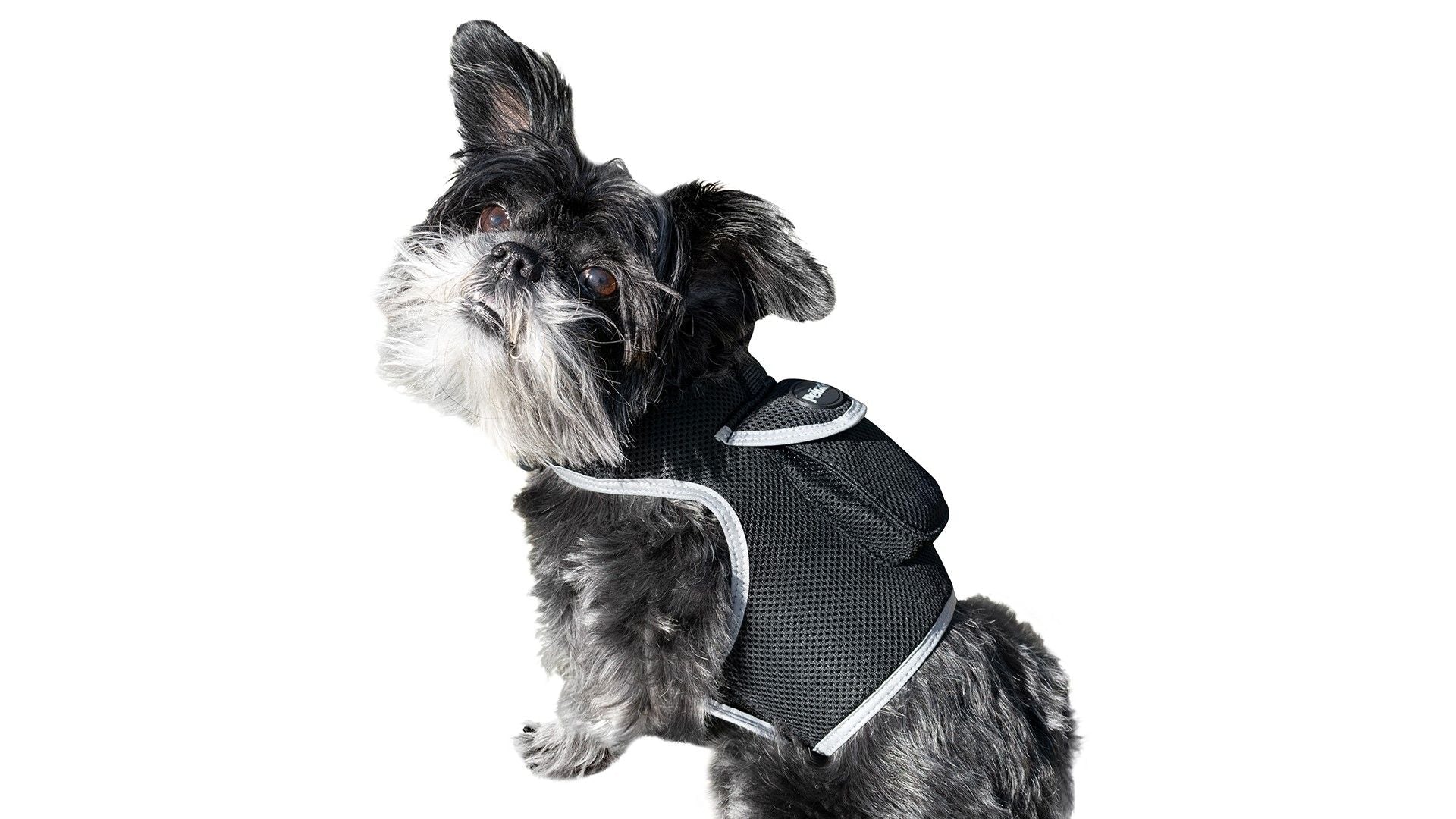 Collar Rechargeable Portable GPS Tracking Devices for Pets GSM Locator Size:XS