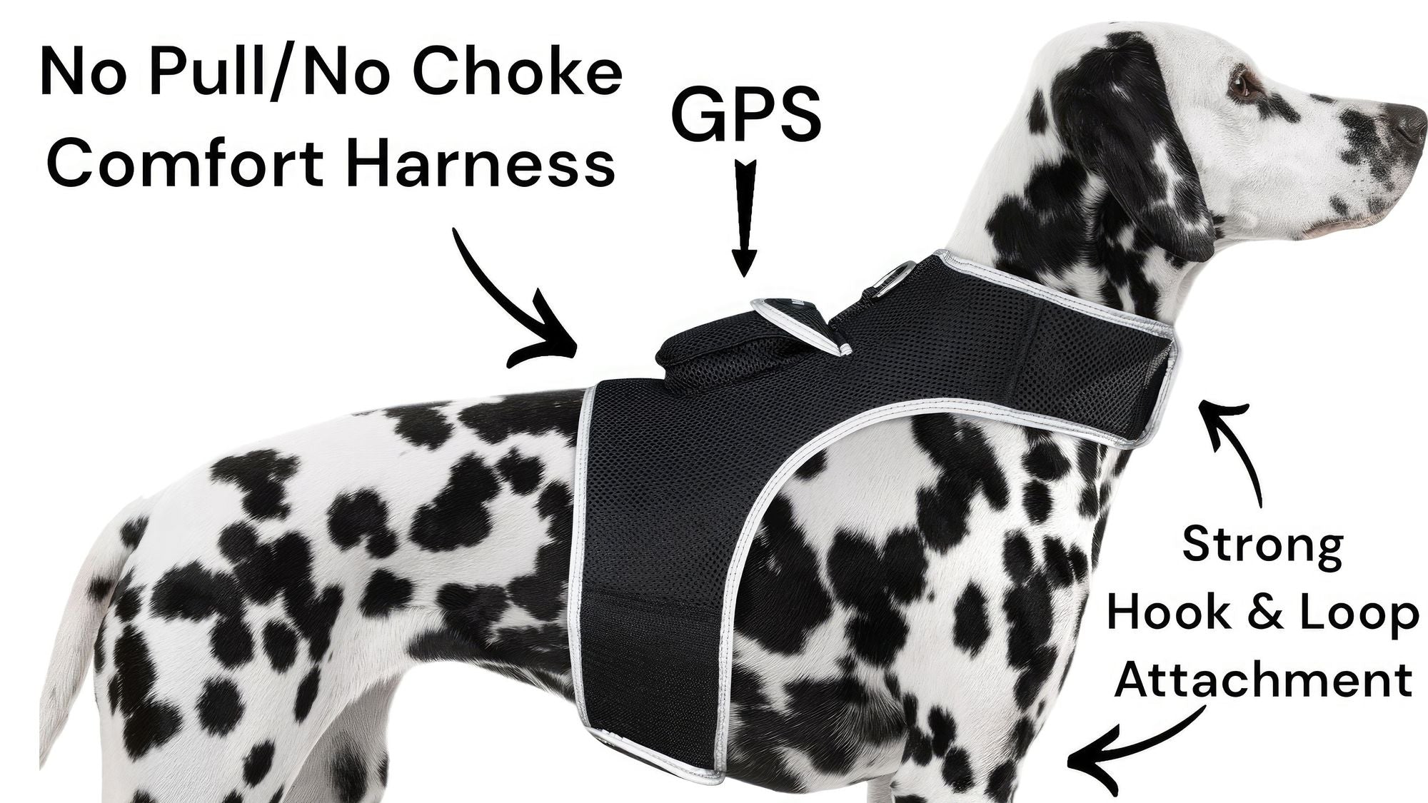 Collar Rechargeable Portable GPS Tracking Devices for Pets GSM Locator Size:S