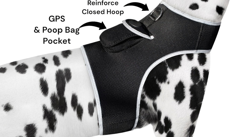 Collar Rechargeable Portable GPS Tracking Devices for Pets GSM Locator Size:S