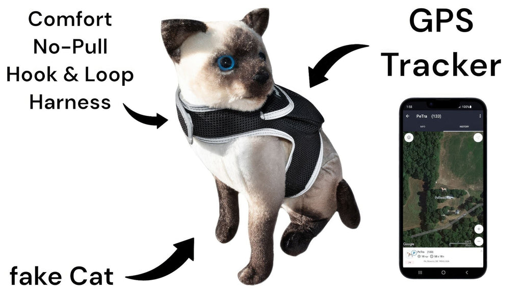 Keep Pet Safe with Pet Tracker GPS Dog Collar Tracking Device + Phone App Size:M Default
