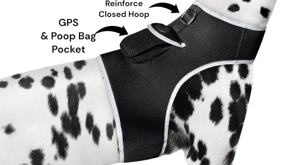 Easy Setup Waterproof Mini GPS Realtime Pet GSM GPRS Tracking Device Size:L