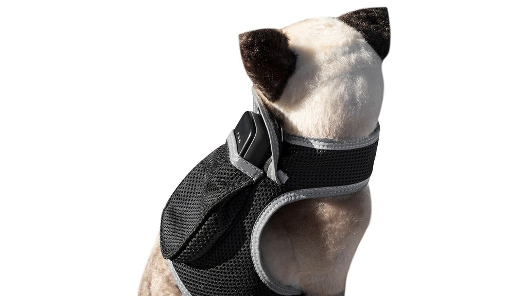 Collar Rechargeable Portable GPS Tracking Devices for Pets GSM Locator Size:S Default