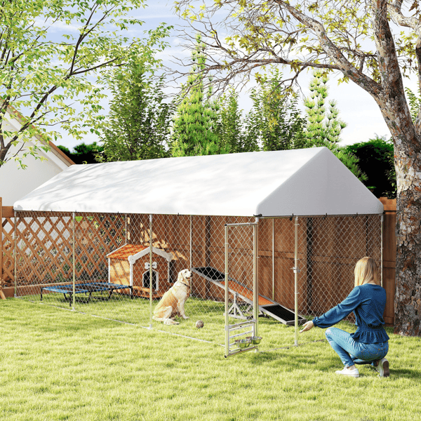 Dog Kennel