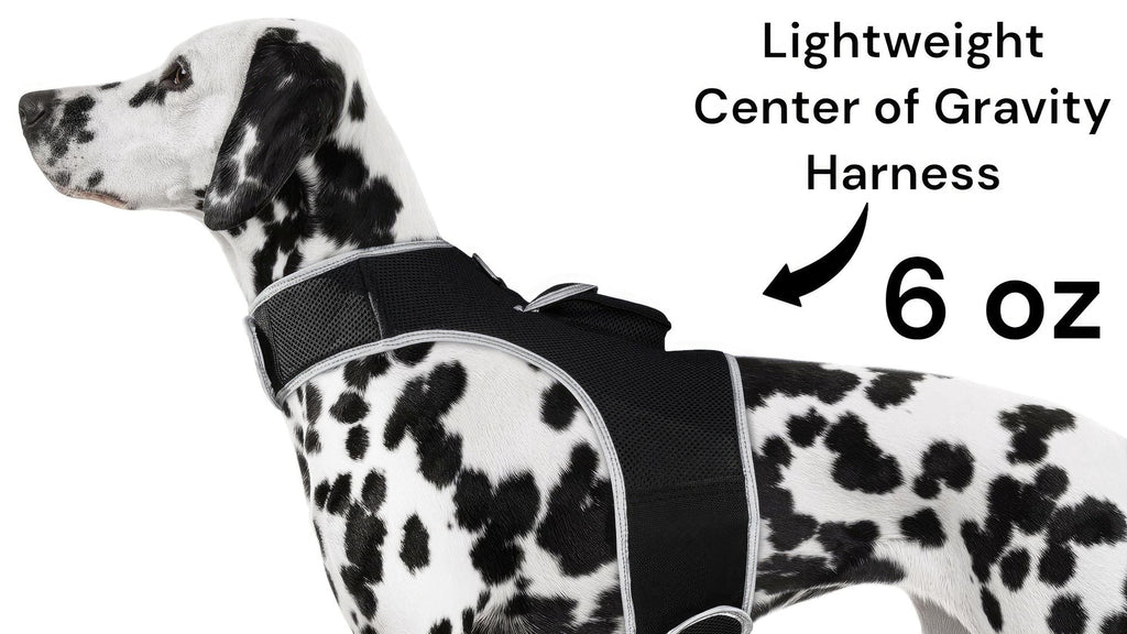 GPS Rechargeable Tracking Device for Pets Realtime Surveillance System Size:XXL Default