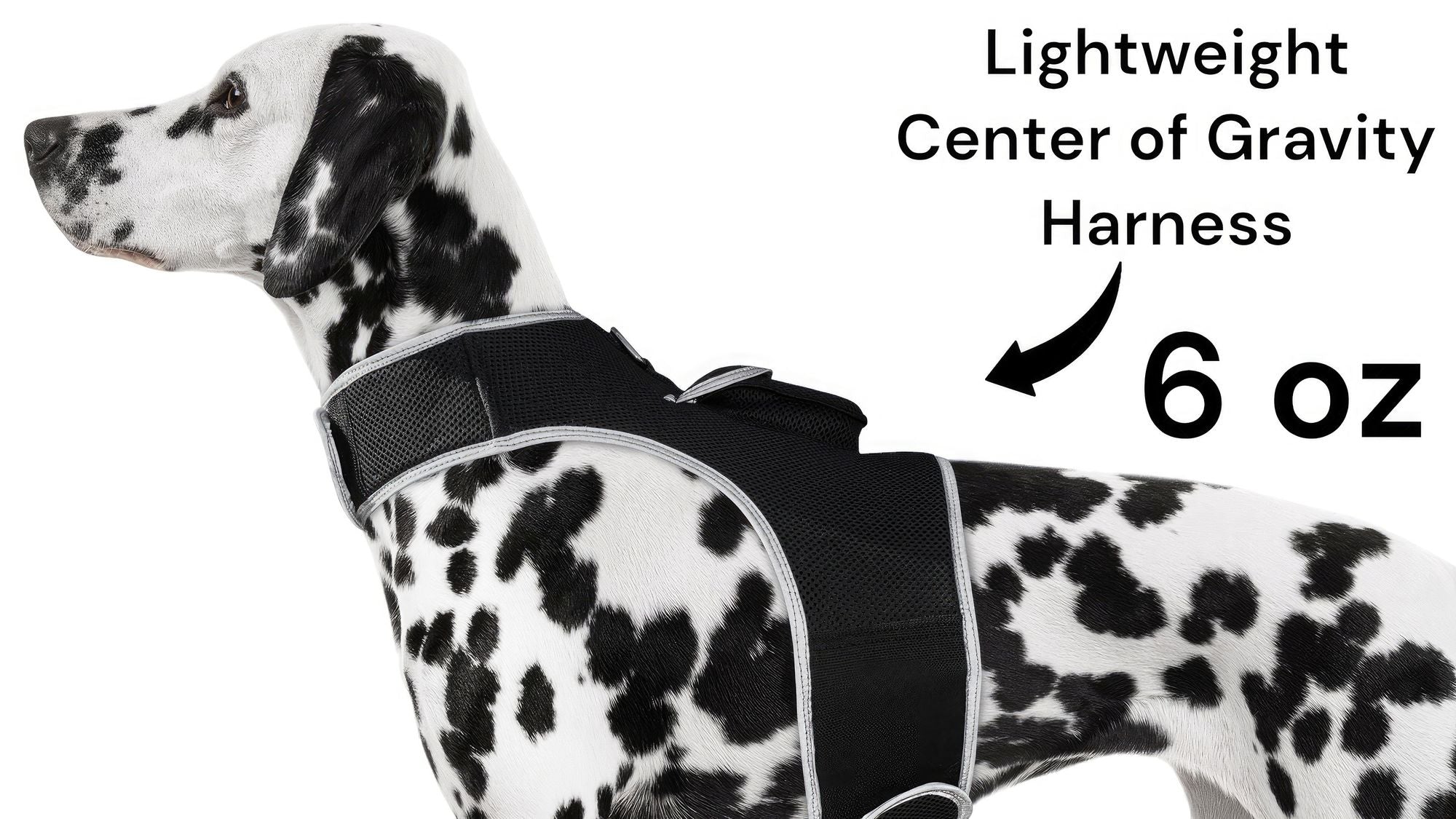 GPS Rechargeable Tracking Device for Pets Realtime Surveillance System Size:XXL Default