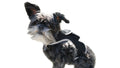Easy Setup Waterproof Mini GPS Realtime Pet GSM GPRS Tracking Device Size:L Default