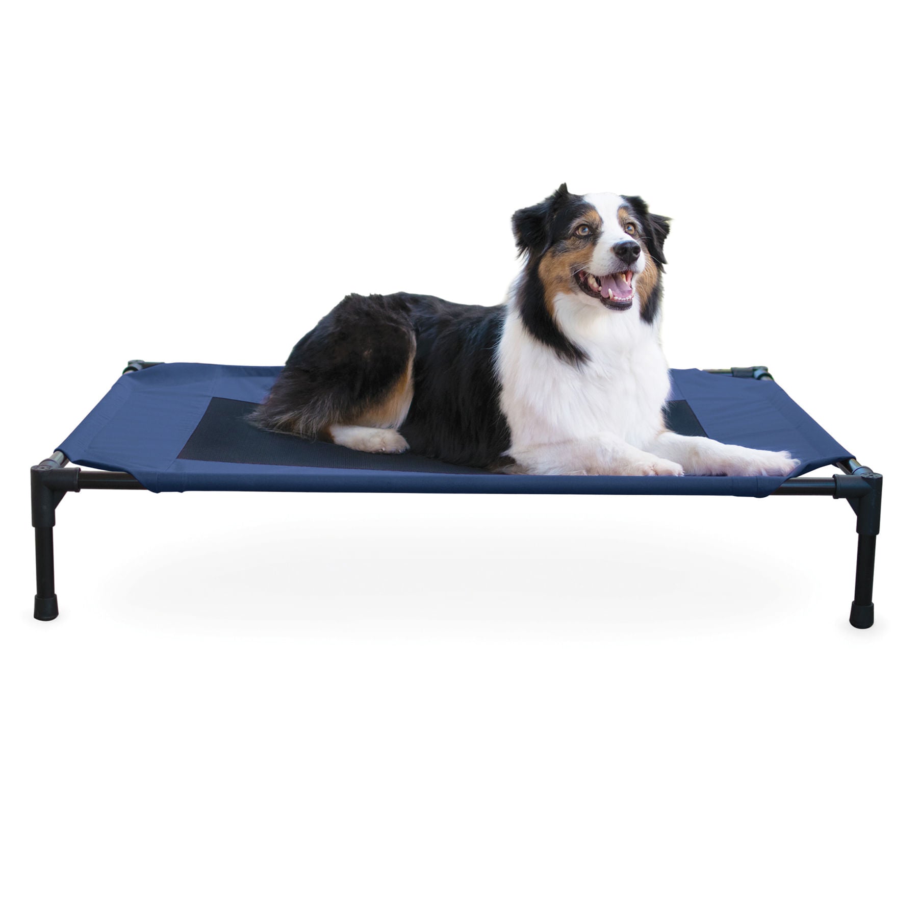 K&H Elevated Dog Bed, Small to X-Large Navy Blue Large