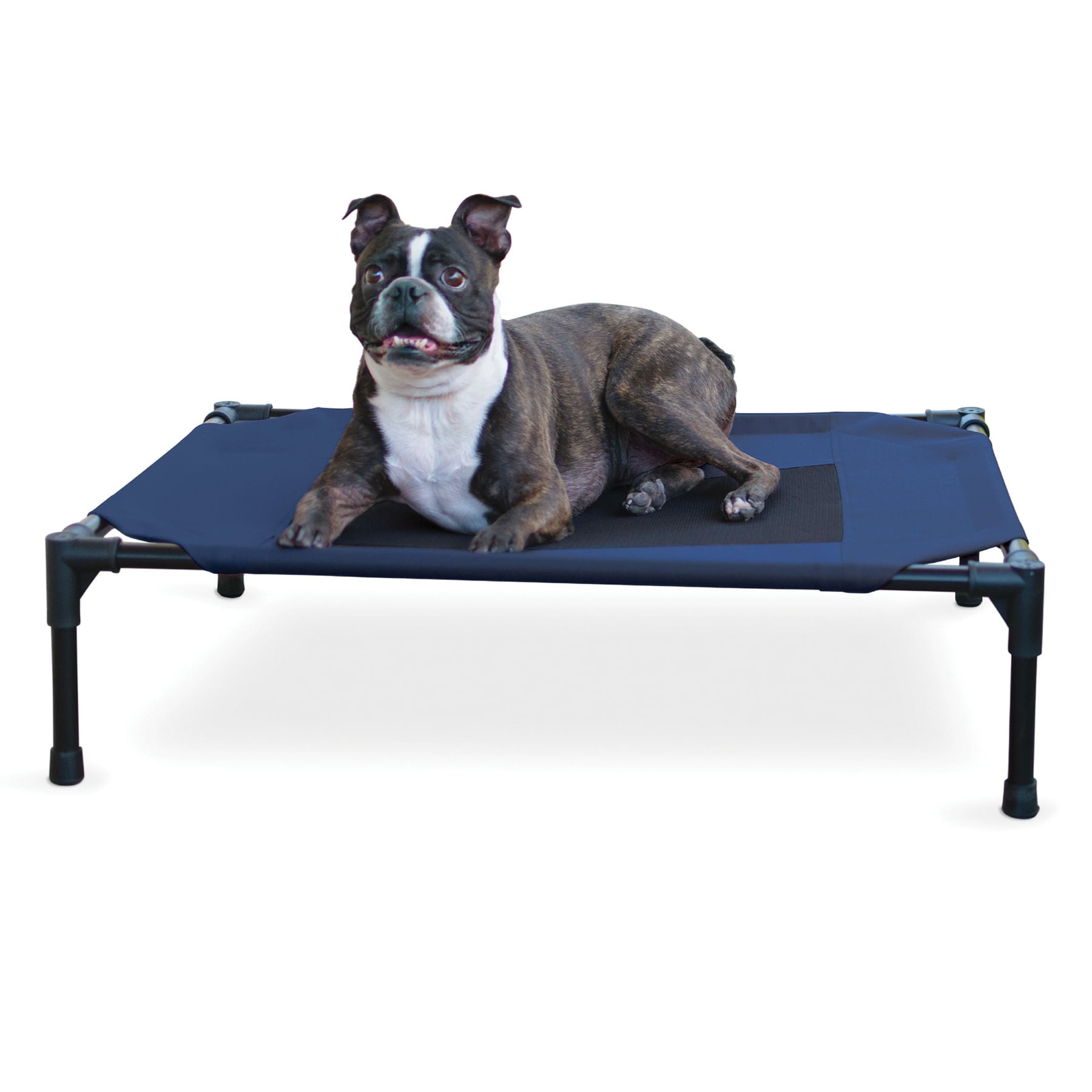 K&H Elevated Dog Bed, Small to X-Large Navy Blue Medium