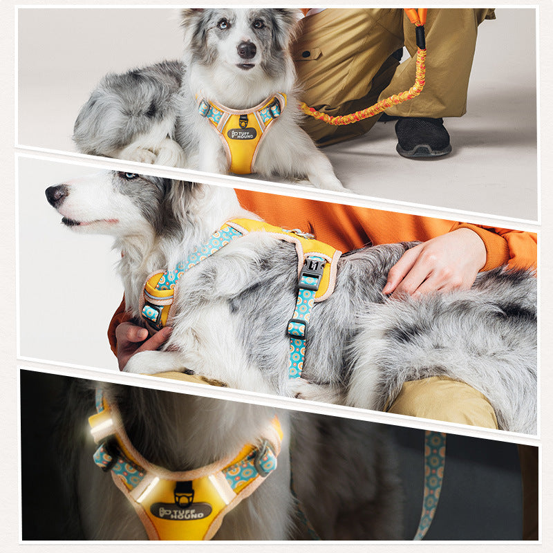 Fashion Minimalist Dog Chest Harness & Leash Set – Nylon | XS–XL | 4 Colors