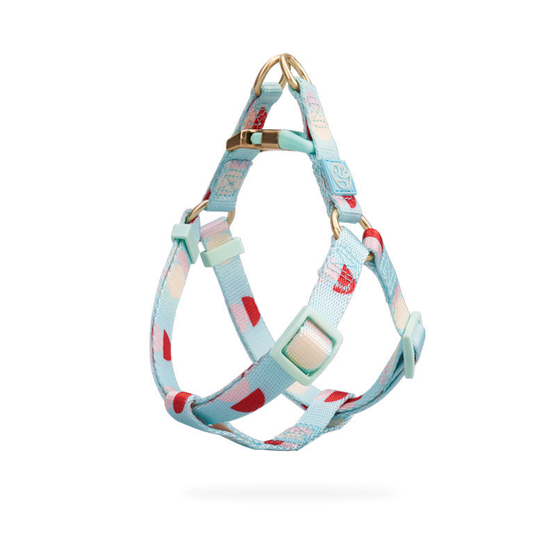 Fashion Y-shaped Chest Strap Pet Supplies Dog Leash Blue chest back