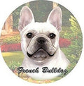 French Bulldog Car Coaster