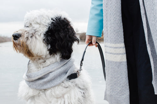 Cashmere Blend Scarf sets for Pets and their humans, Heather Grey