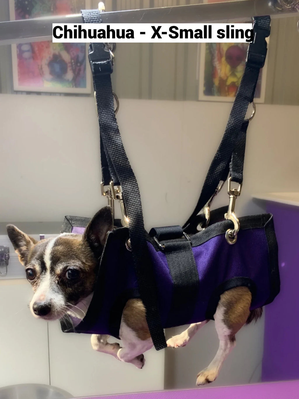PET GROOMING SLING XSMALL