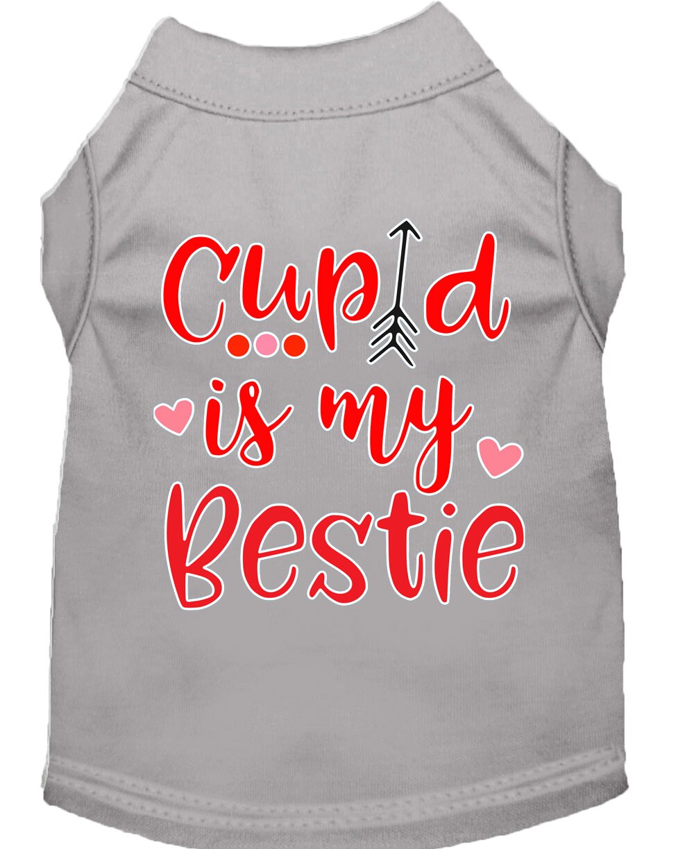 Pet Shirt "Cupid Is My Bestie" Gray