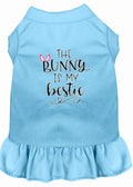 Pet Dress "The Bunny Is My Bestie" Baby Blue