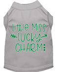 Pet Shirt "Little Miss Lucky Charm" Gray