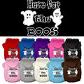 Halloween Pet Hoodie "Here For The Boos"