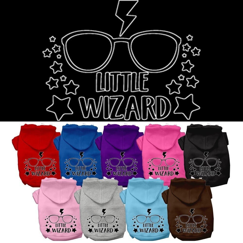 Pet Hoodie "Little Wizard"