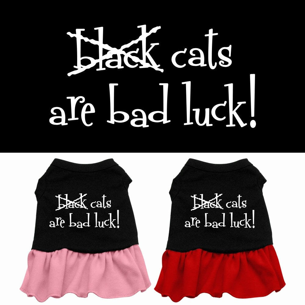 Halloween Pet Dress "Black Cats Are Bad Luck"
