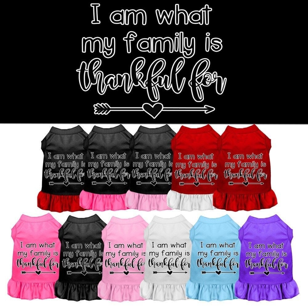 Pet Dress "I Am What My Family Is Thankful For"