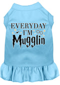 Pet Dress "Everyday I'm Mugglin" Baby Blue
