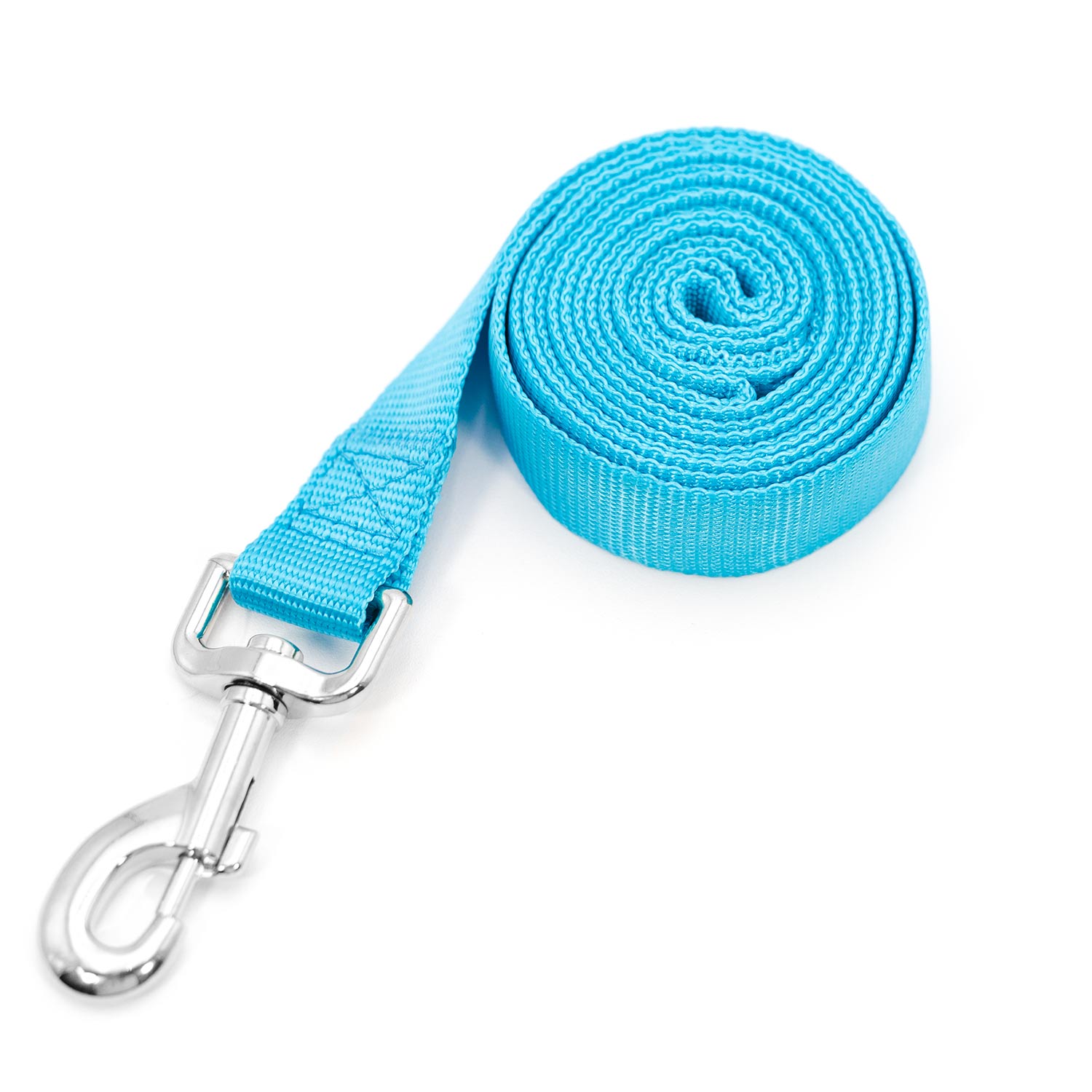 Jeffers 1-Ply Web Nylon Dog Leashes Turquoise