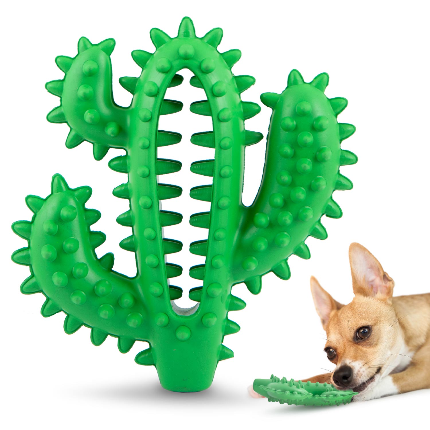 Jeffers Cactus Natural Rubber Dental Chew Toy for Dogs for Healthy Chewing Habits Green Medium 1