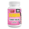 Jeffers Diawin Digestive Support for Dogs - Bismuth Tummy Relief for Diarrhea Beef 50 Tablets