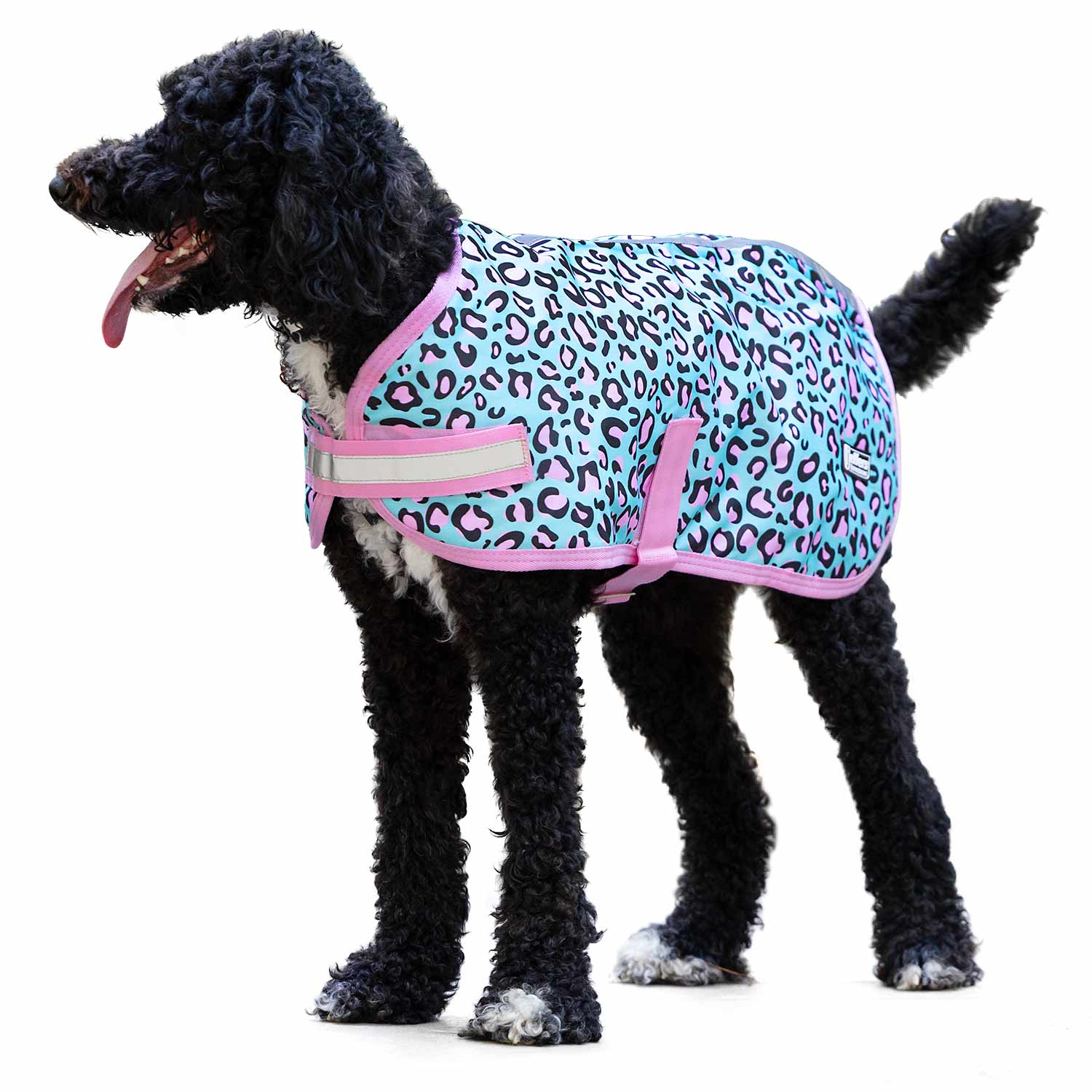 Jeffers Expression 600D Waterproof Ripstop Dog Coat, 240 Gram Party Cheetah
