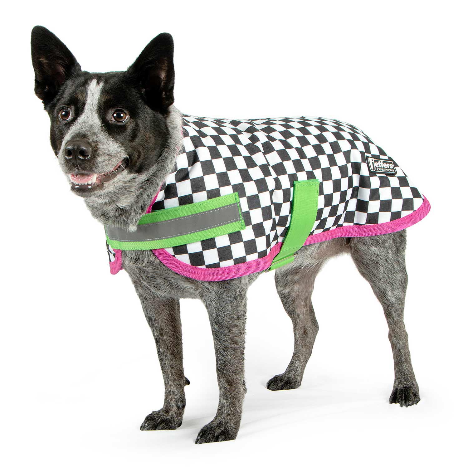 Jeffers Expression 600D Waterproof Ripstop Dog Coat, 240 Gram Skater Pup