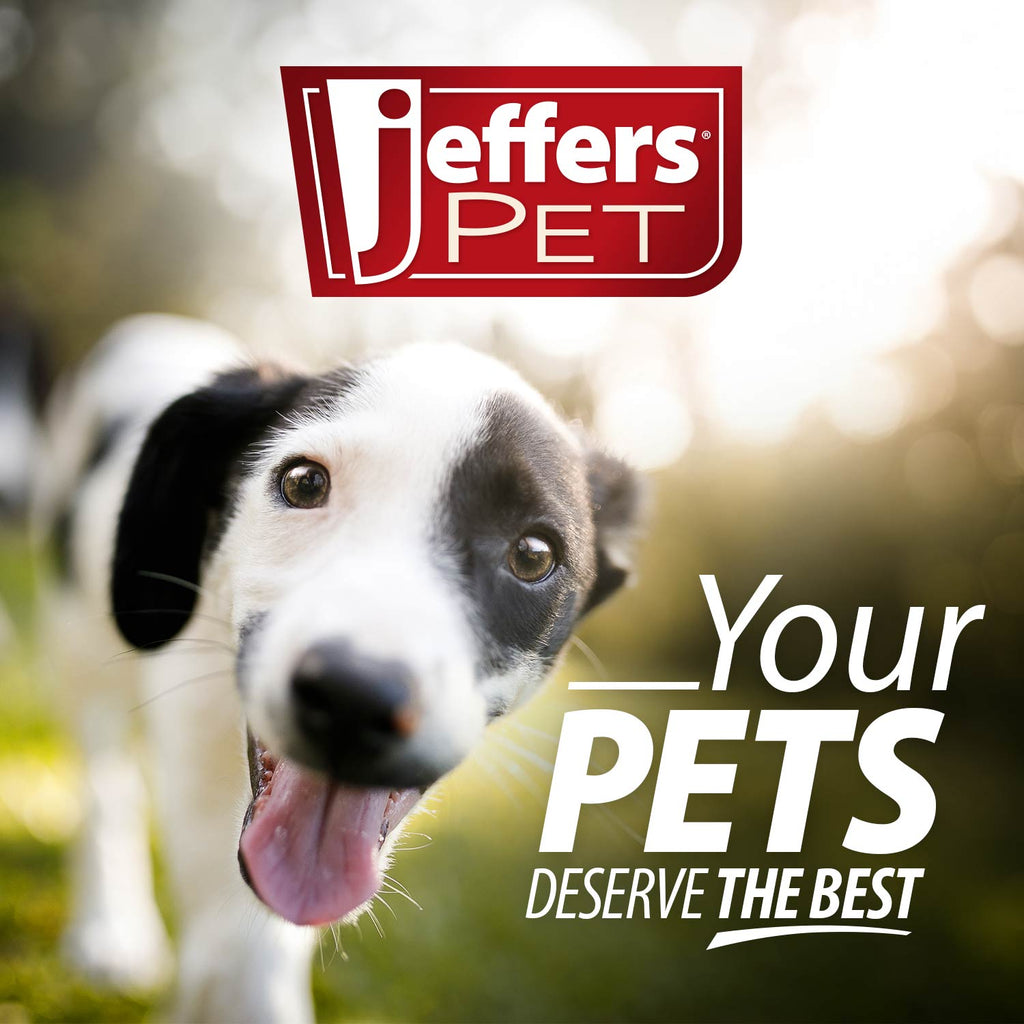 Jeffers Red Dental Bone Natural Rubber Dog Chew Toy for Healthy Teeth and Gums