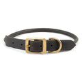 Jeffers Rolled Leather Dog Collars with Brass Hardware Chestnut