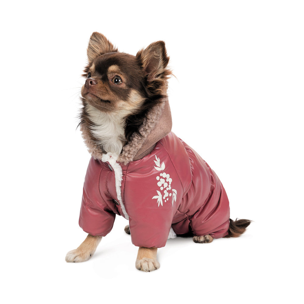 Cherry Dog overall for dogs