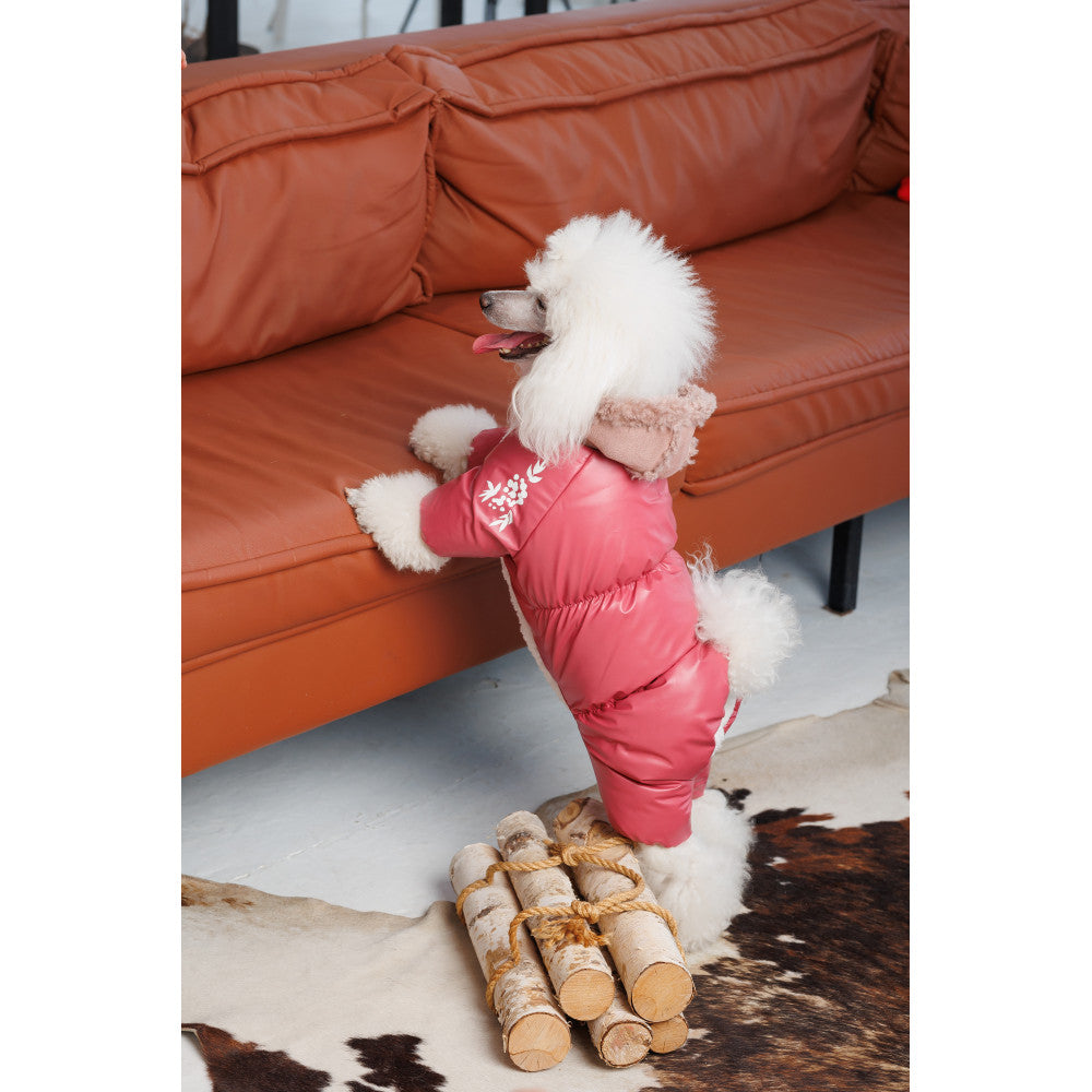 Cherry Dog overall for dogs