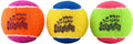 KONG Birthday Squeaker Balls, 3 pk 2.5"D 3 Pack